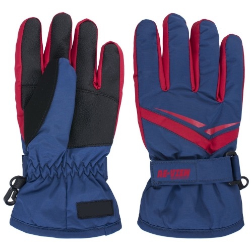 Ski Gloves