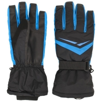 Ski Gloves